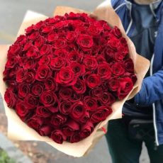 101 красные розы